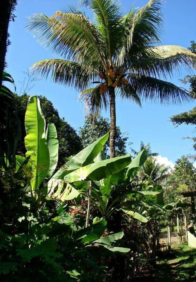 Pousada Villa Da Gama Paraty Phòng bức ảnh