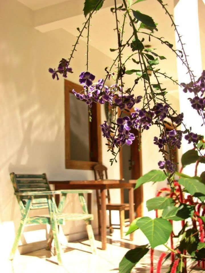 Pousada Villa Da Gama Paraty Phòng bức ảnh