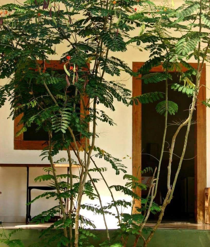 Pousada Villa Da Gama Paraty Phòng bức ảnh