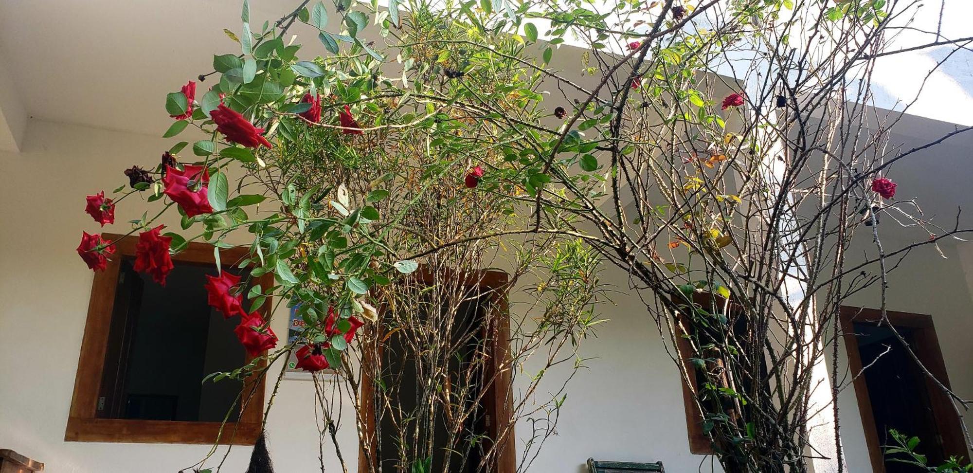 Pousada Villa Da Gama Paraty Phòng bức ảnh