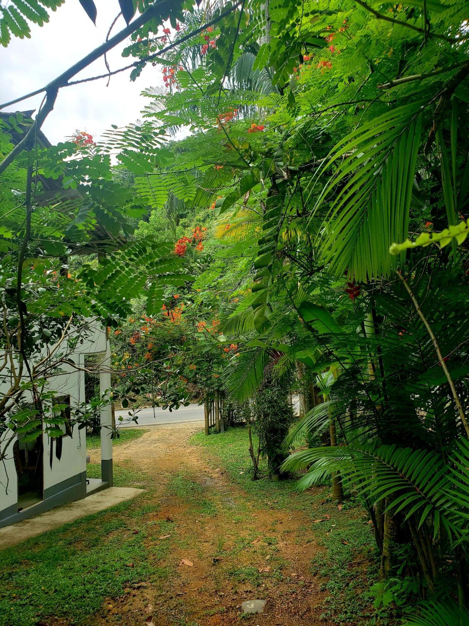 Pousada Villa Da Gama Paraty Phòng bức ảnh